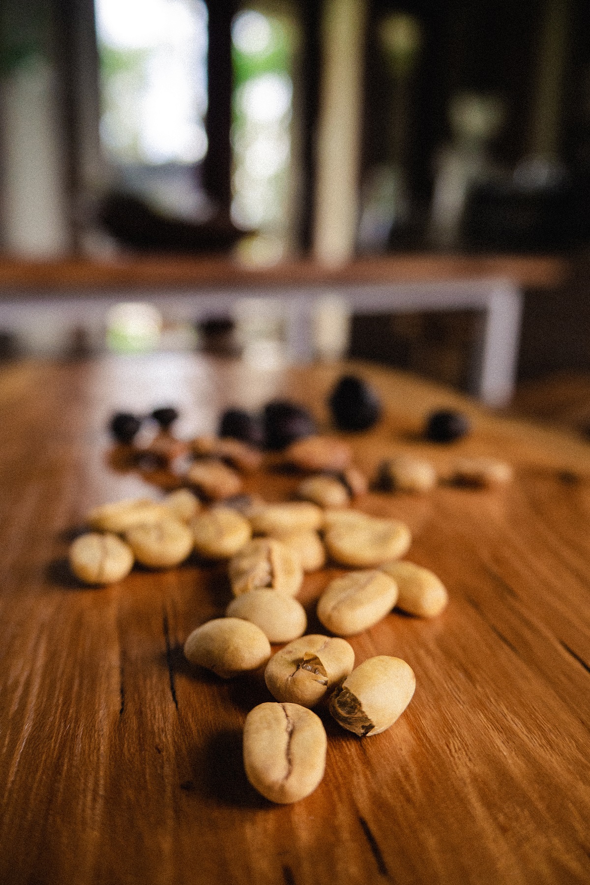 Bali Coffee Beans