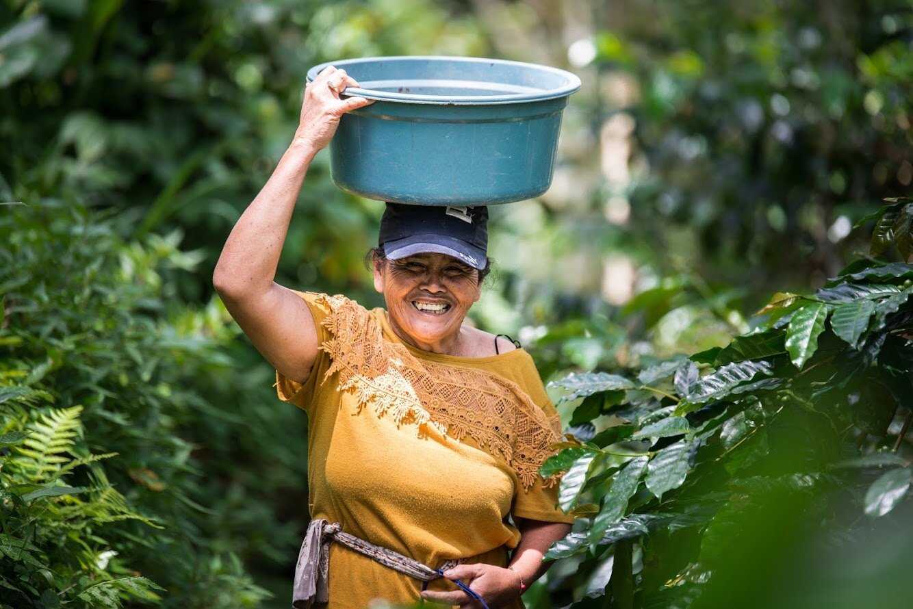 Lady holding coffee beans bucket on her head