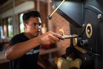 Processing Bali Coffee Beans